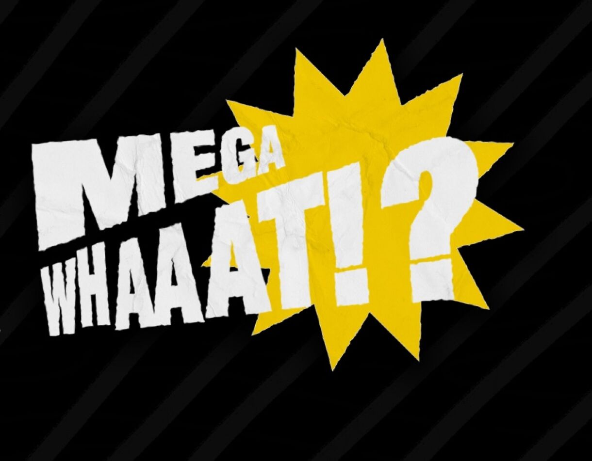 Mega What? Thumbnail