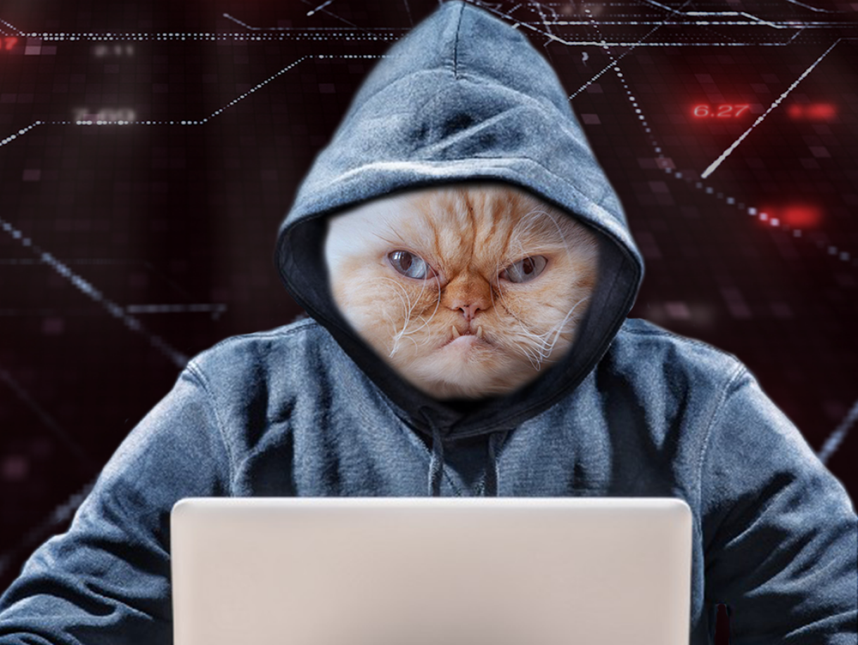 Ne cliquez pas Thumbnail